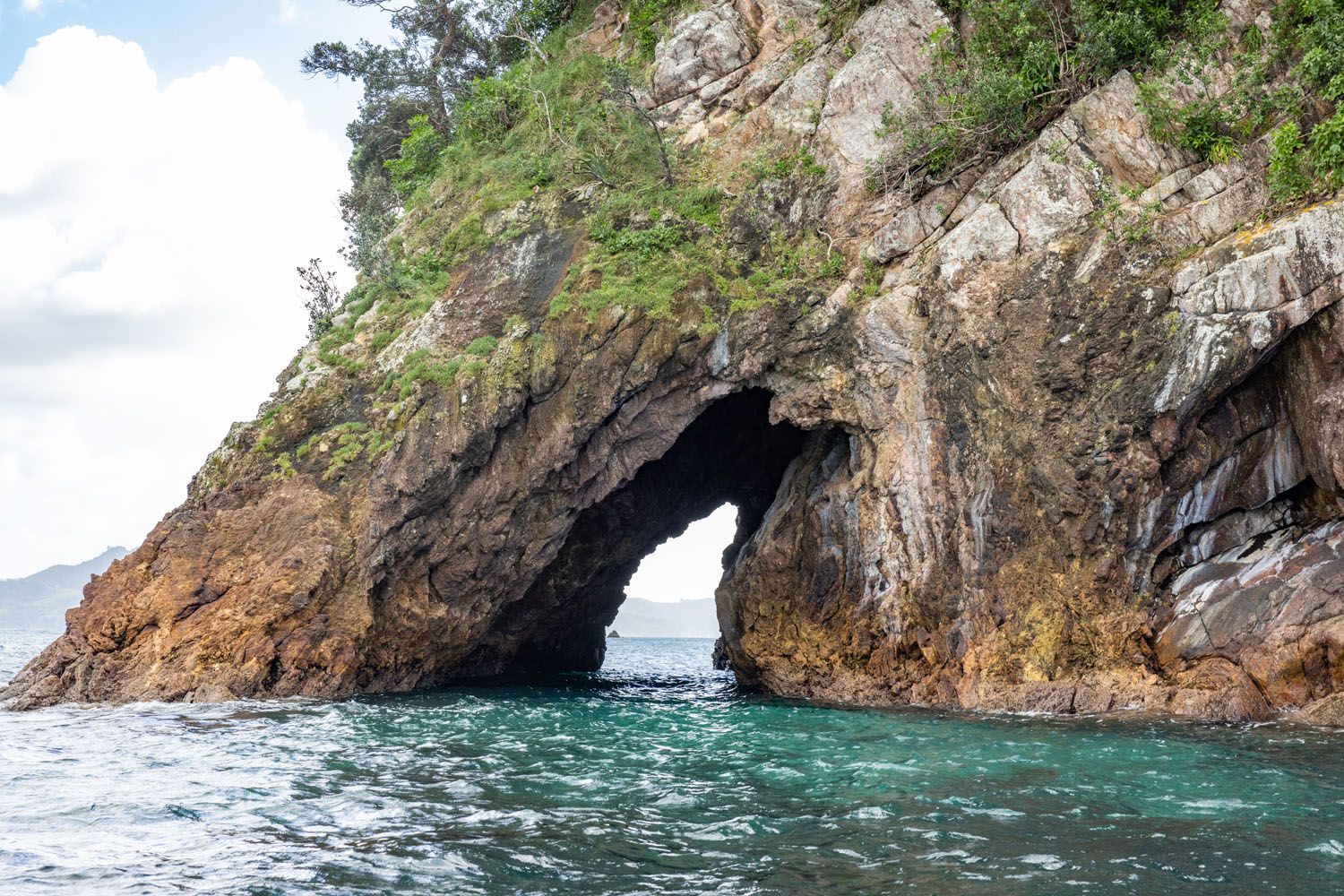 Poikeke Island New Zealand