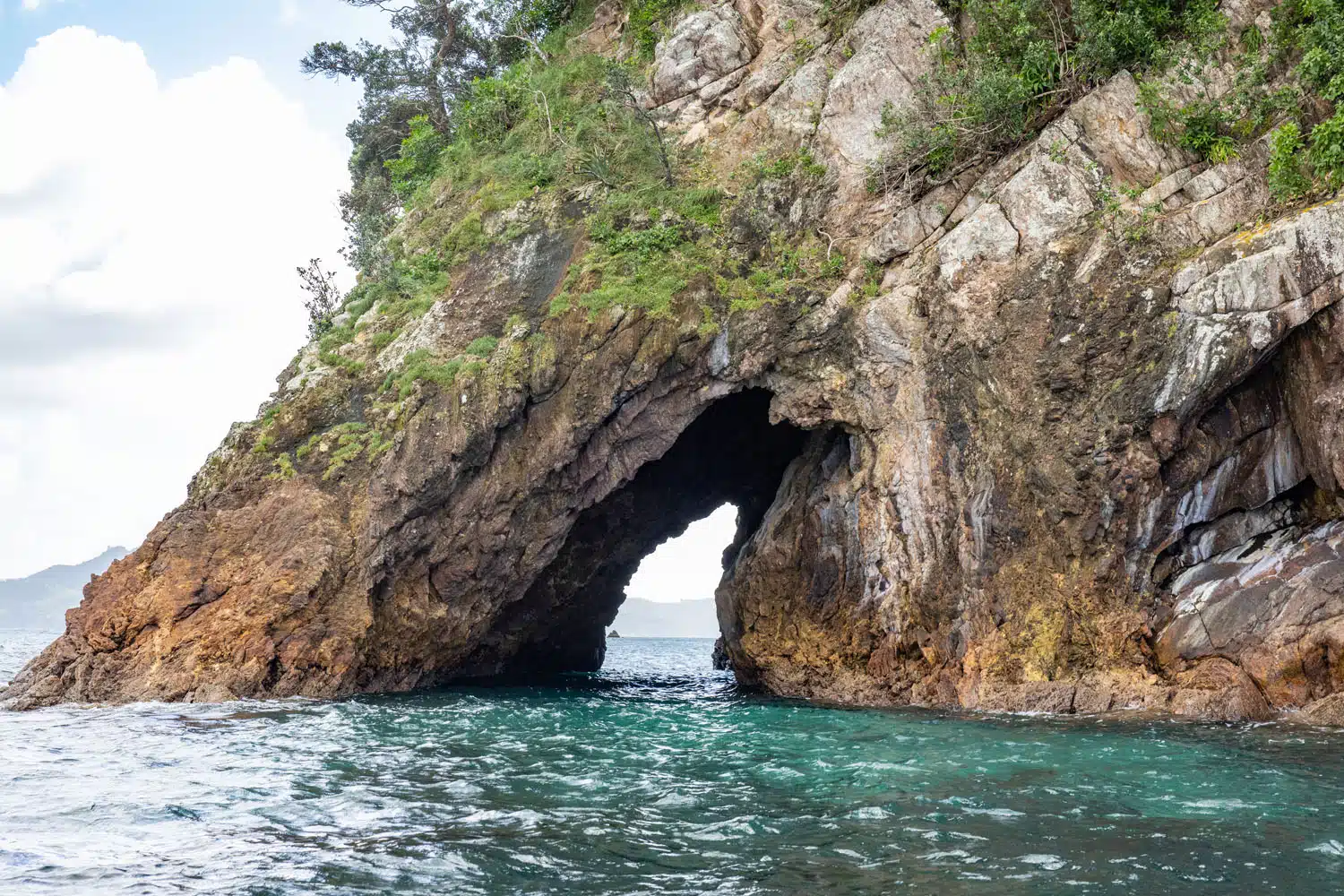 Poikeke Island New Zealand