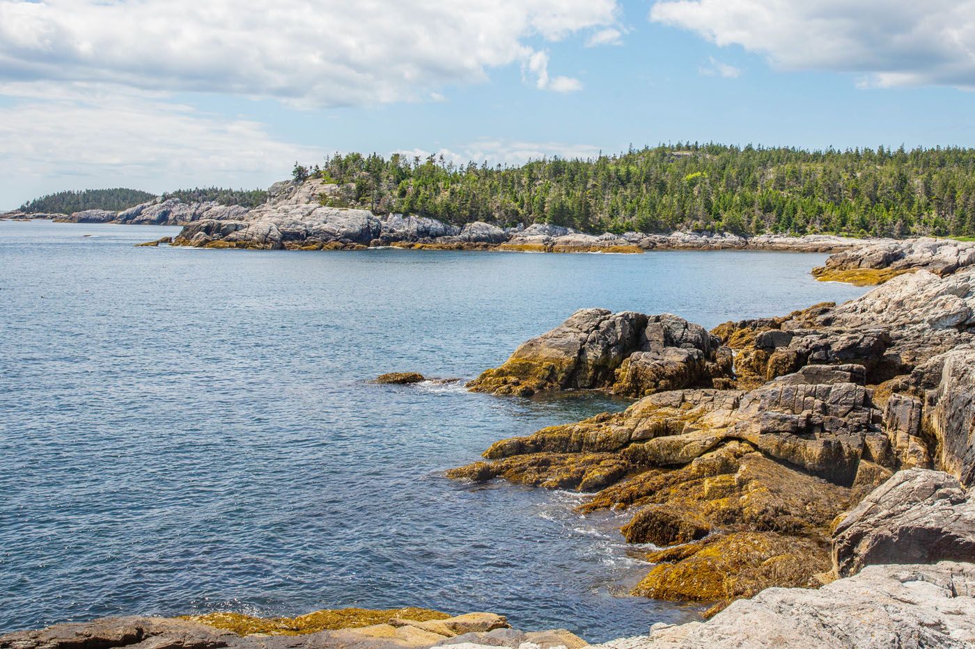 Squeaker Cove View Isle au Haut