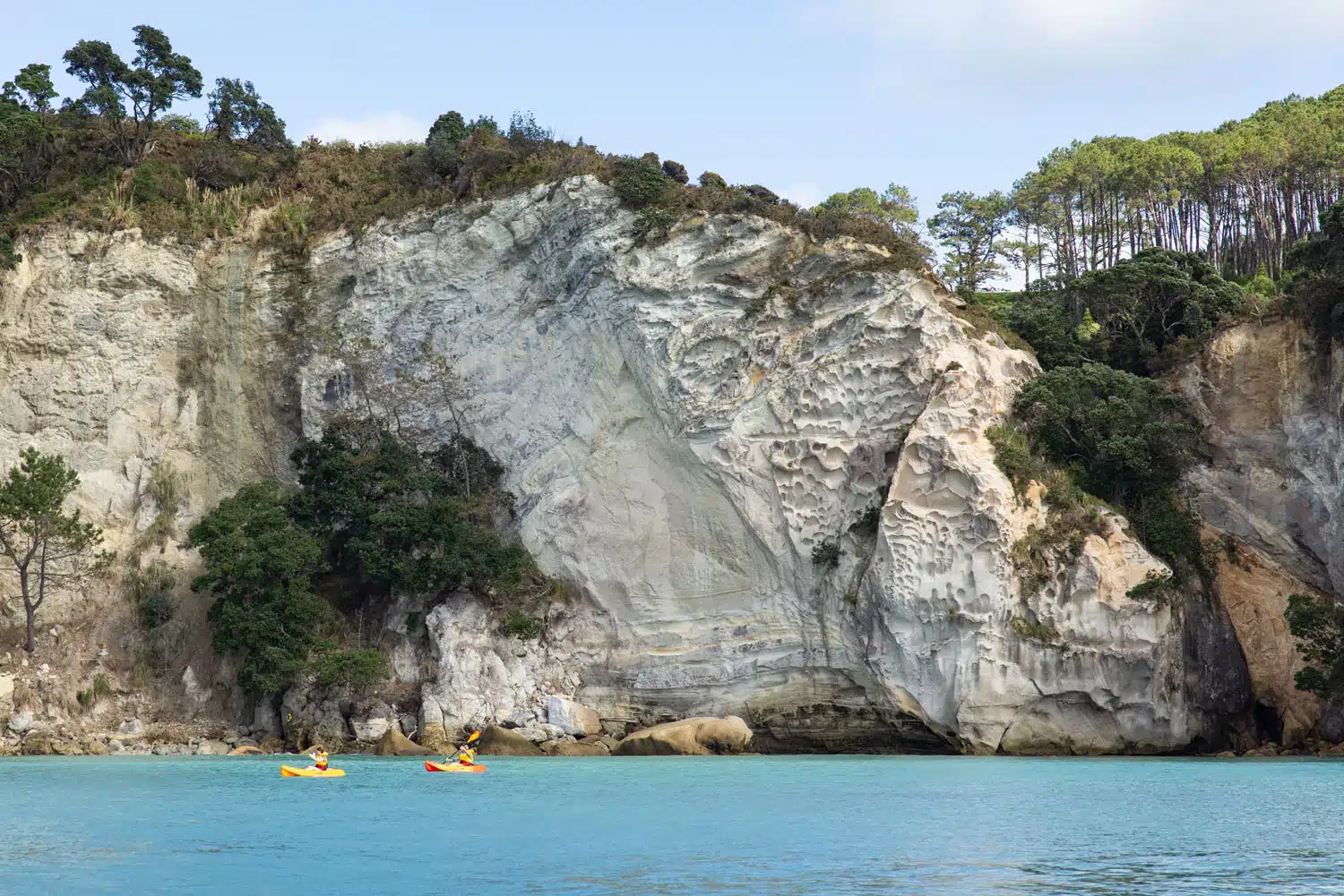 Stingray Bay Kayakers