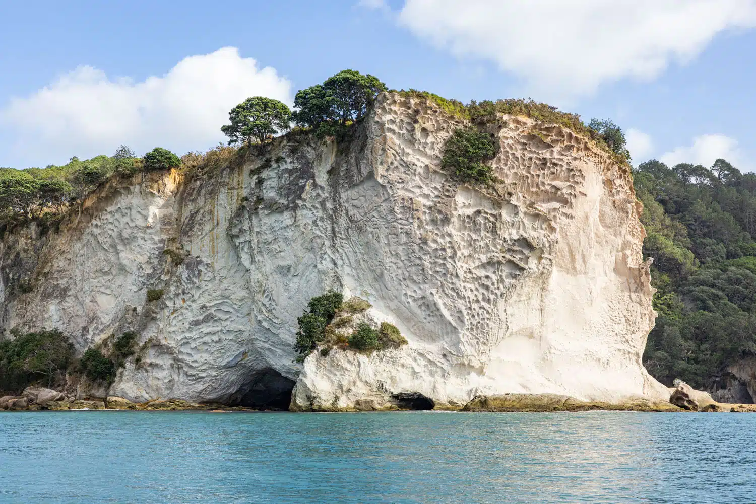 Stingray Bay New Zealand