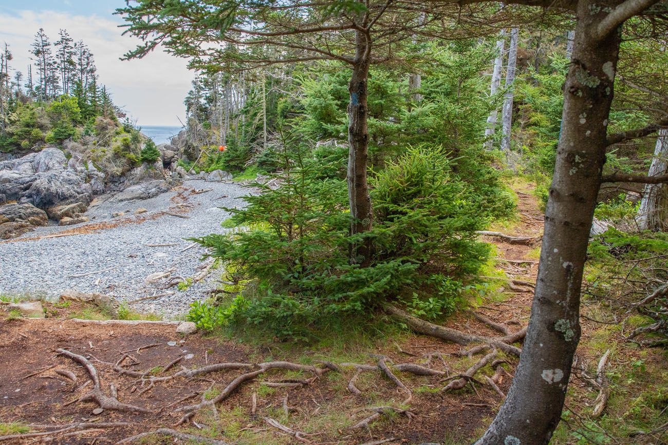 Trail from Squeaker Cove