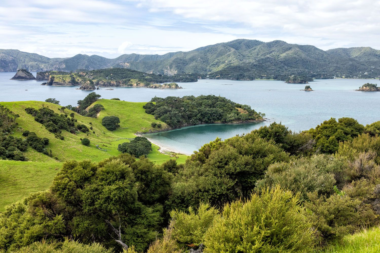 Urupukapuka Island Bay of Islands | Northland, New Zealand