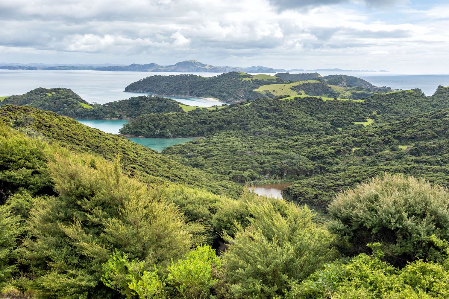 Urupukapuka Island Photo