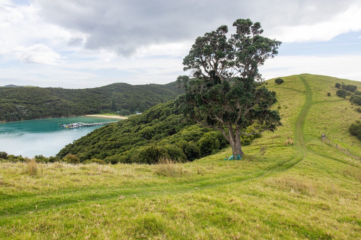 Urupukapuka Island Walking Track