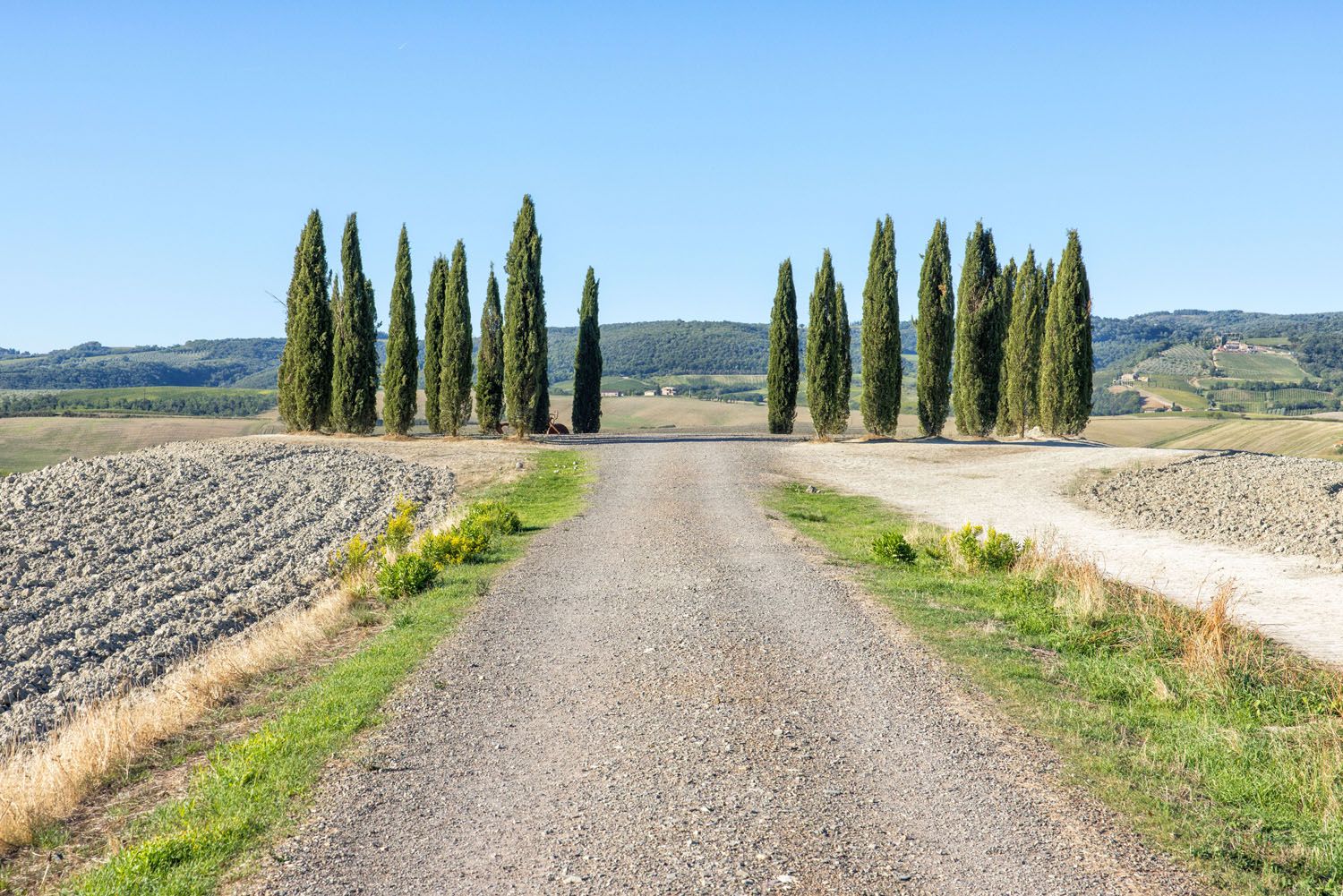 Val dOrcia Cypress Trees