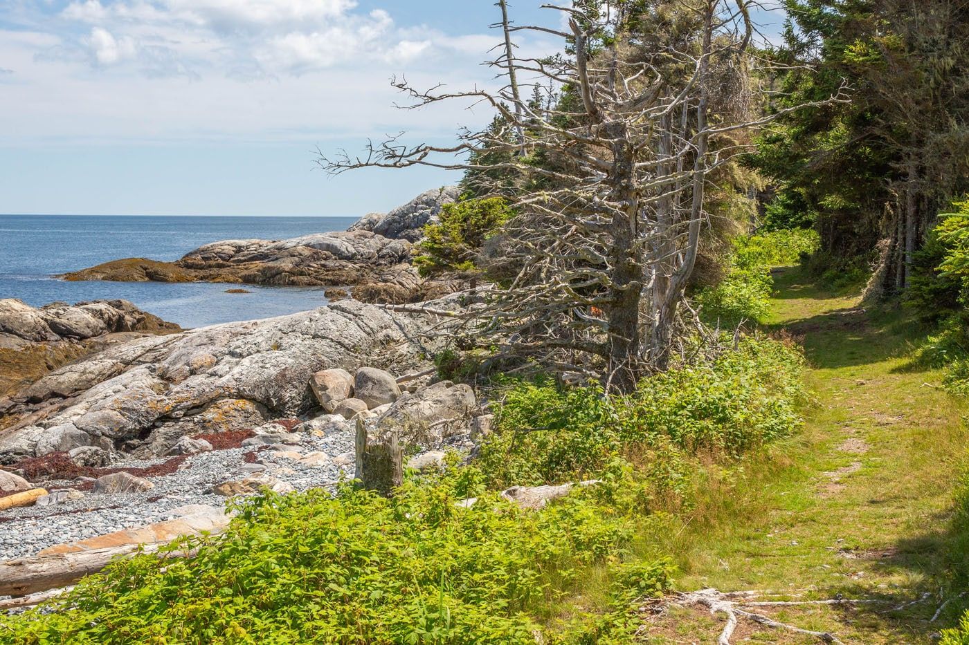 Western Head Trail