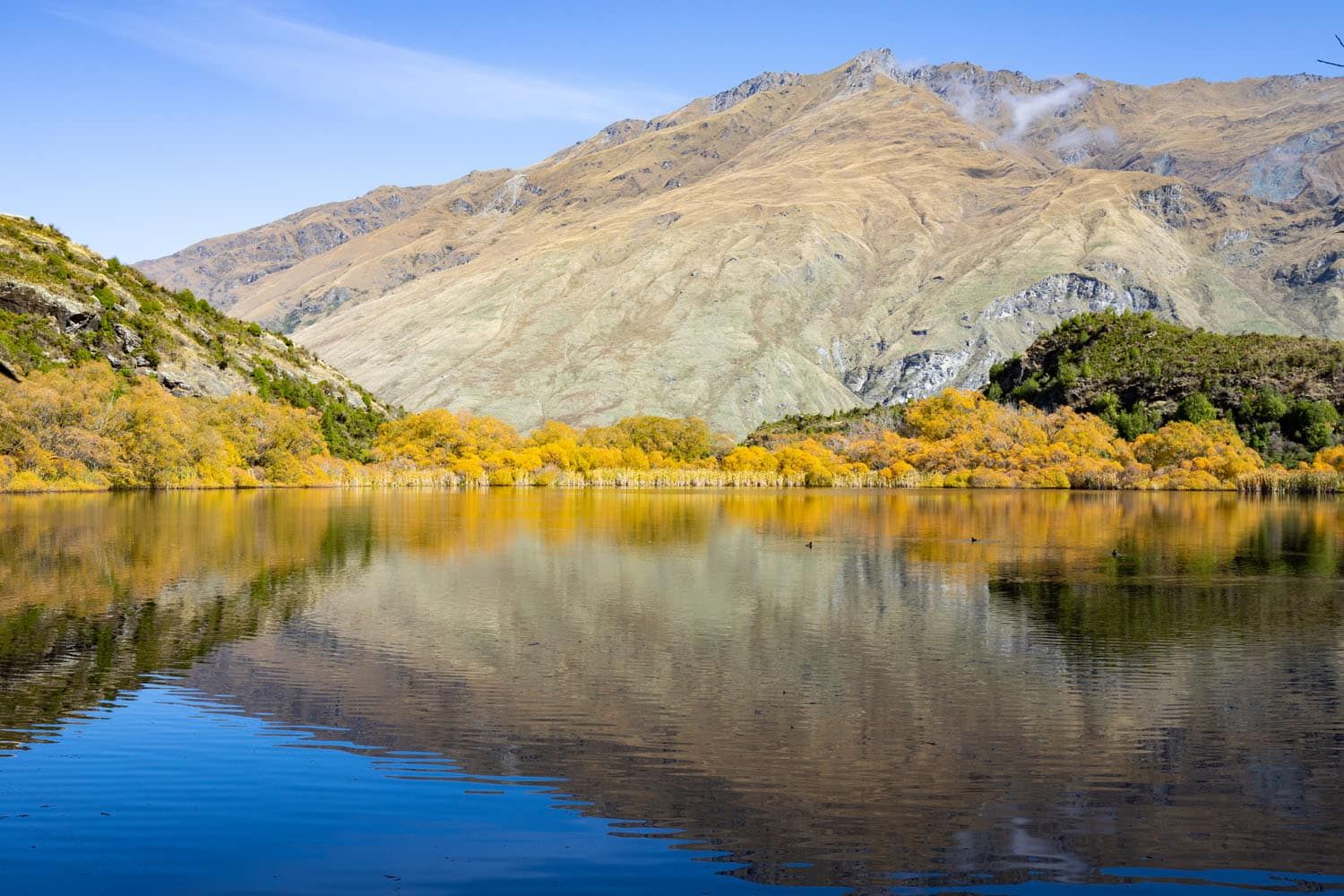 Diamond Lake View