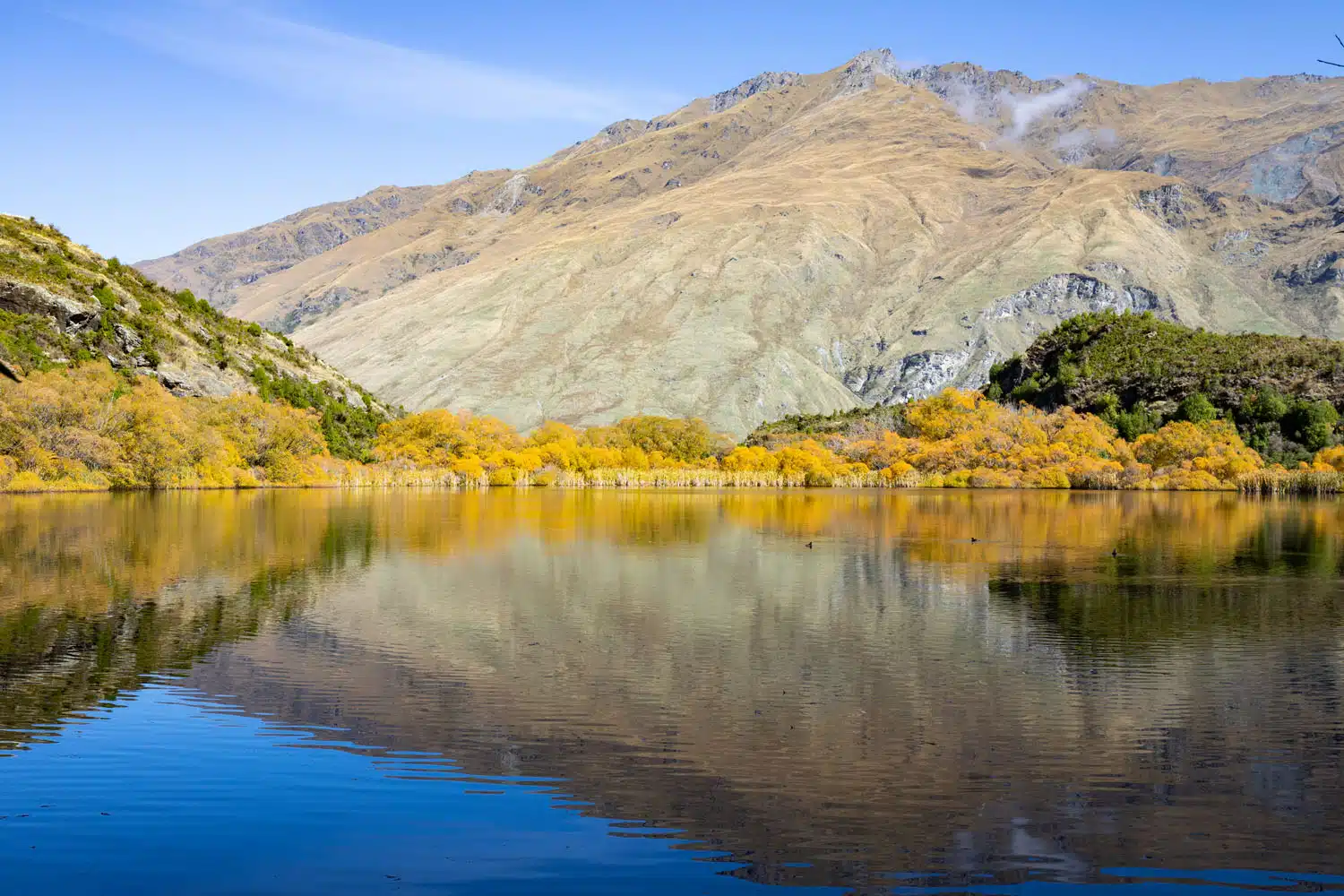 Diamond Lake View