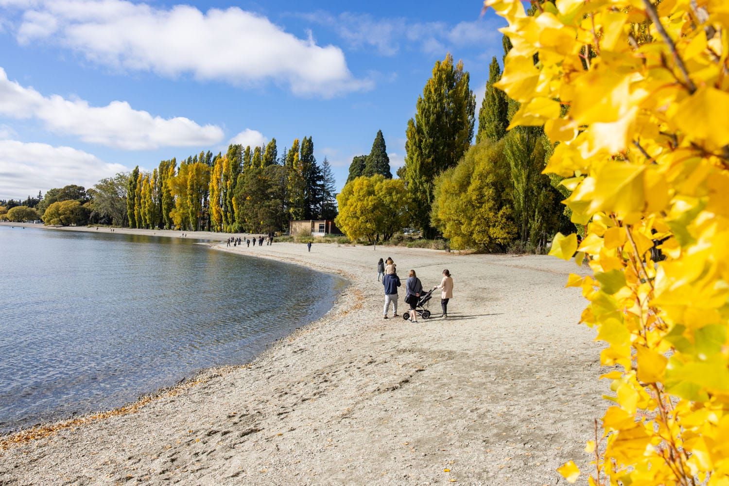 Lake Wanaka Beach