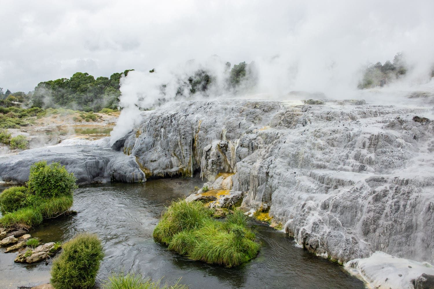 Pohutu Geyser