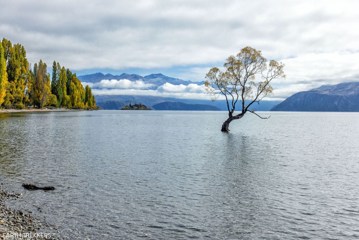 #ThatWanakaTree | 10 Day South Island New Zealand Itinerary