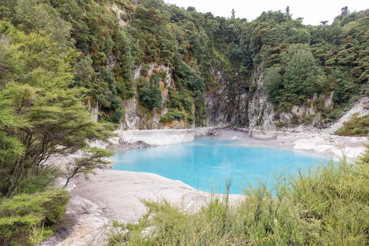 Waimangu Volcanic Valley