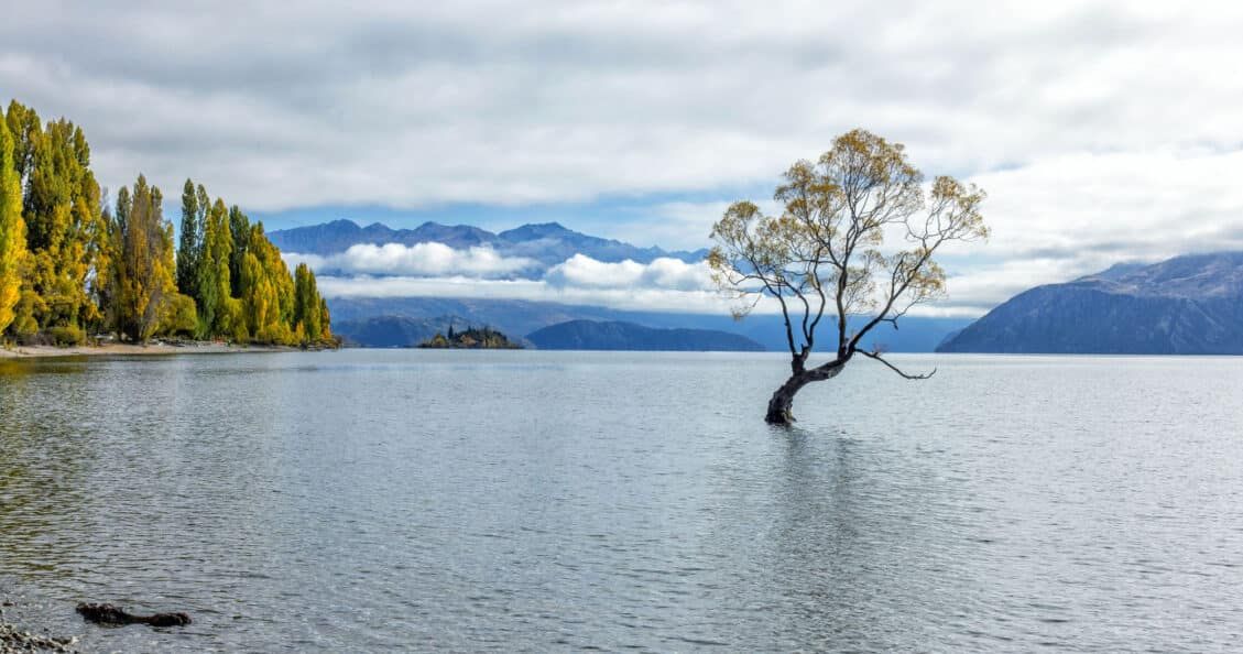 Wanaka New Zealand