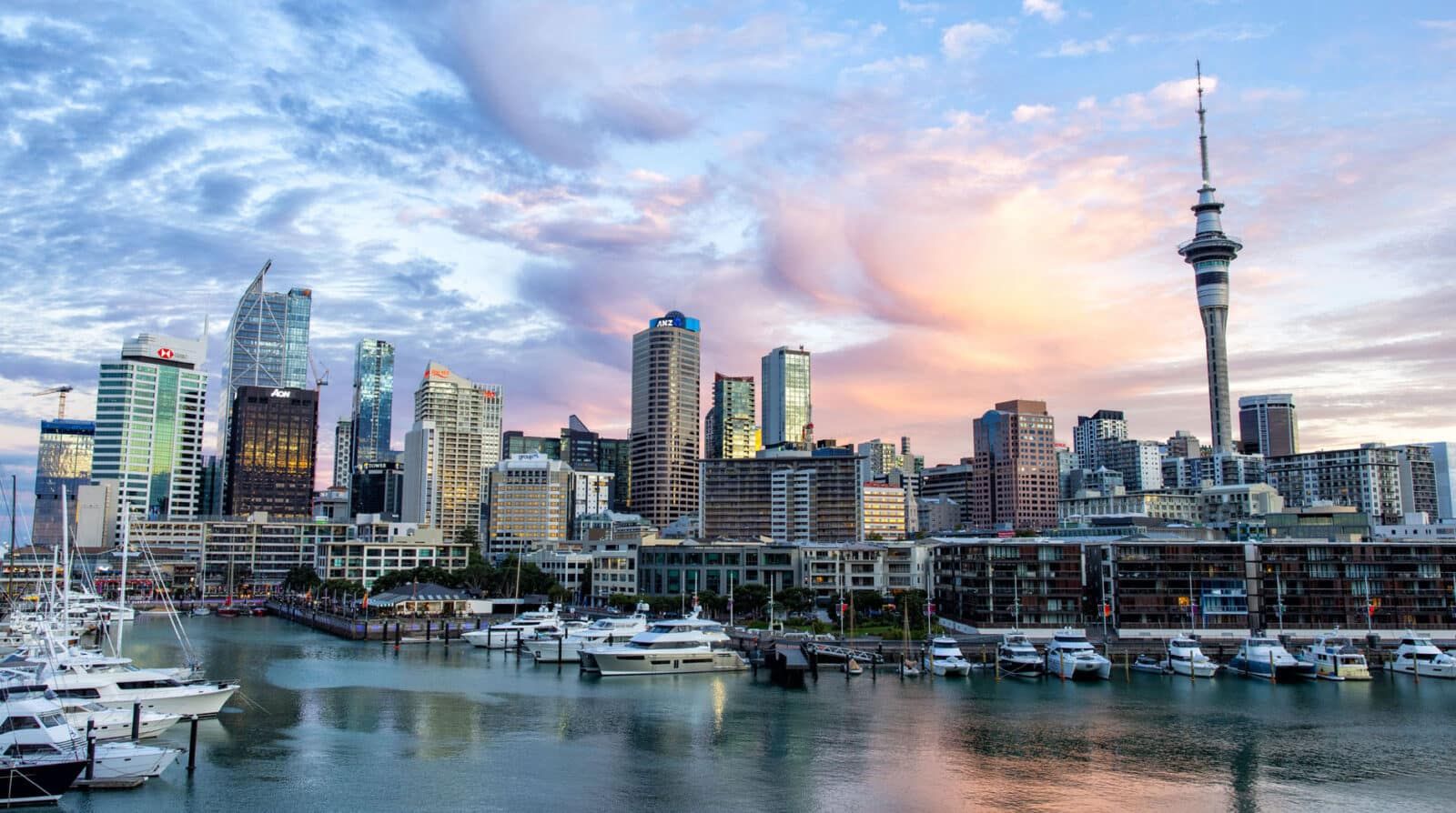 Auckland visual data 6