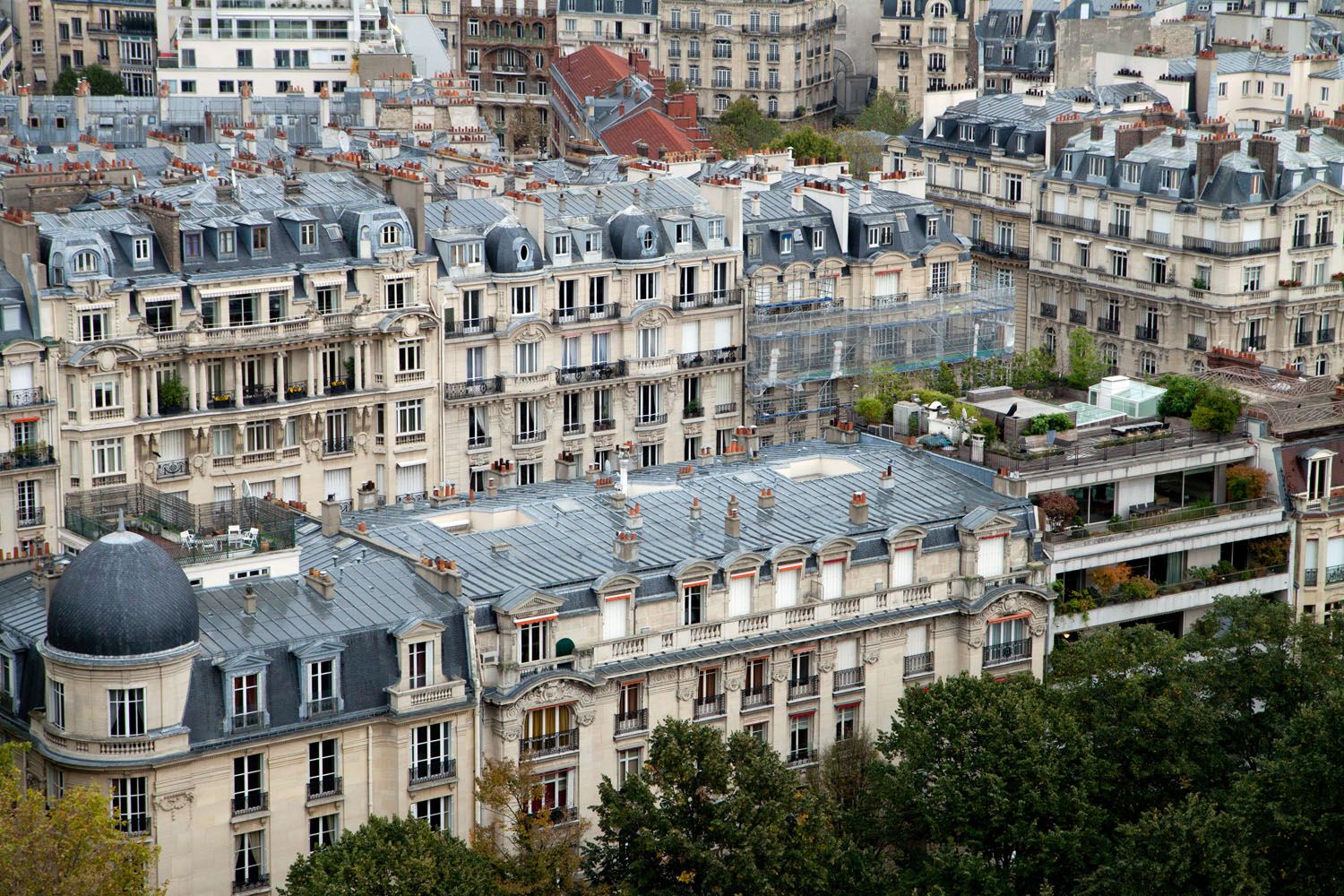 Eiffel Tower First Floor View