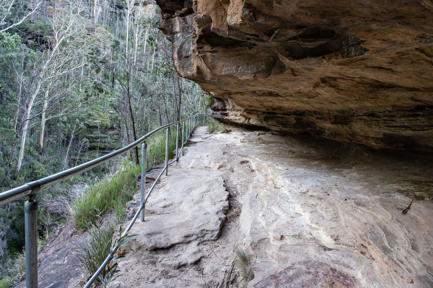 Grand Canyon Track