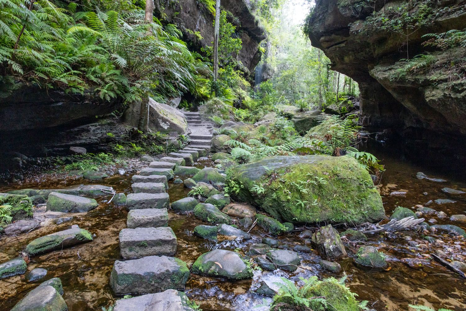 Grand Canyon Walking Track