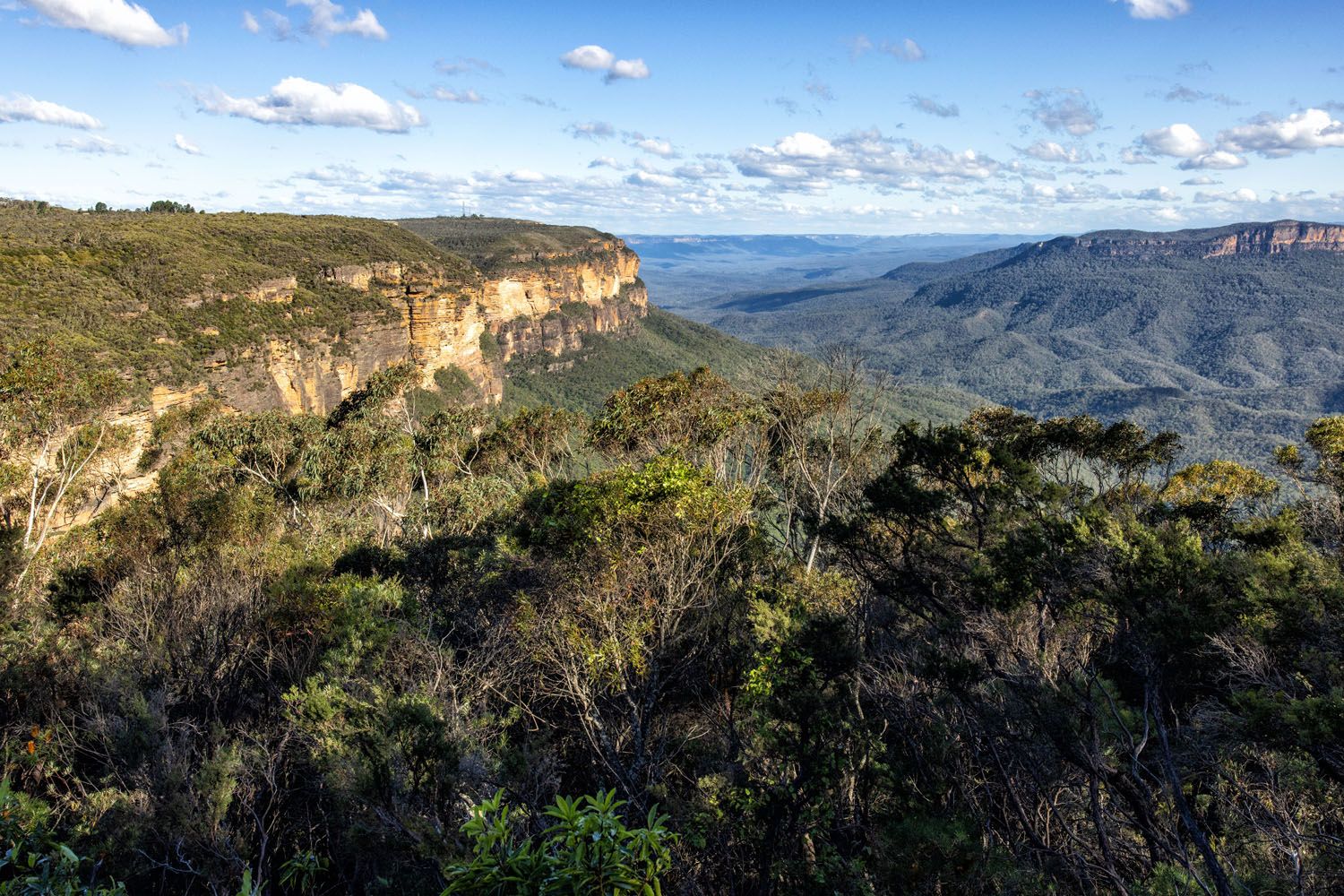 Jamison Lookout