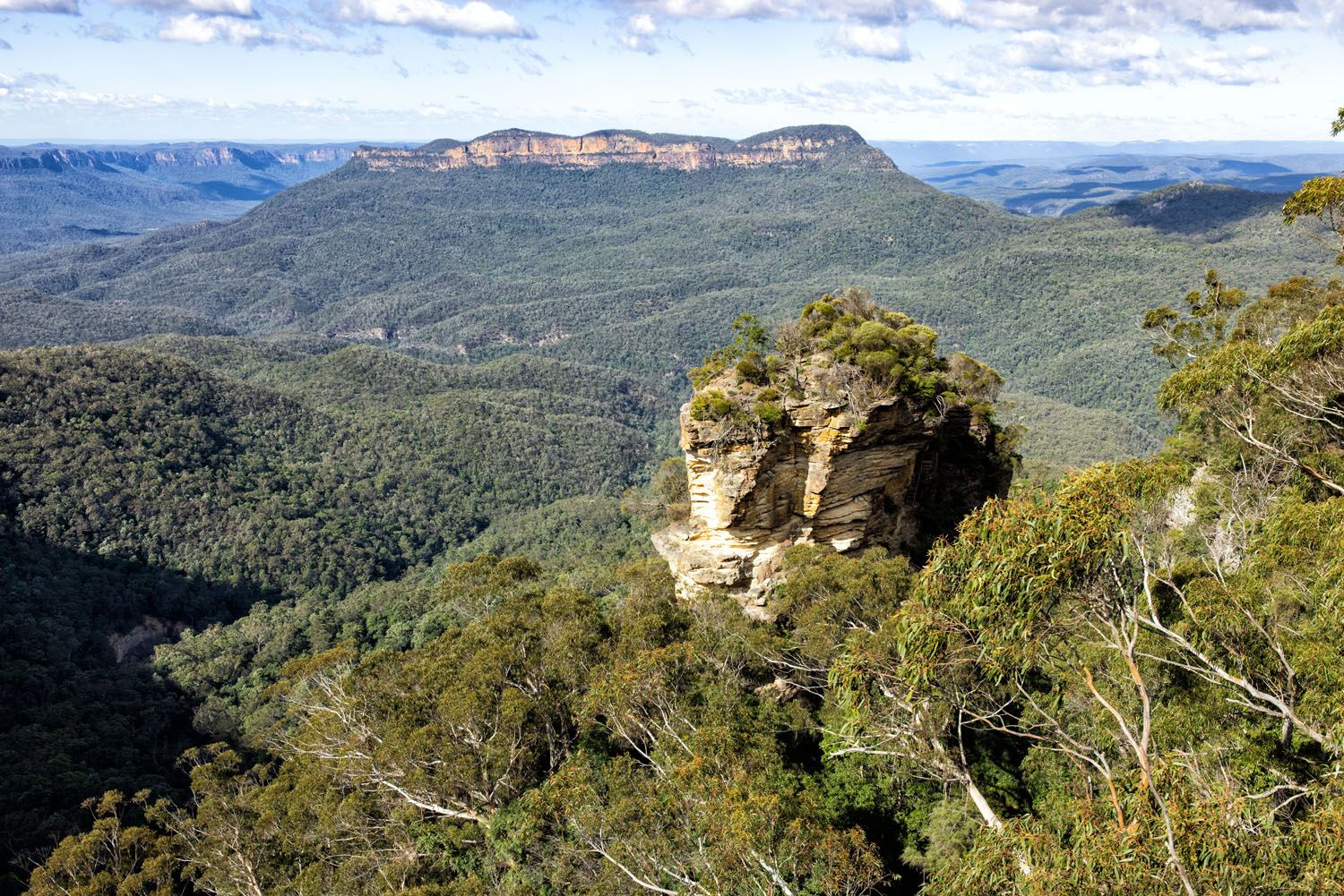 Scenic World Skyway View