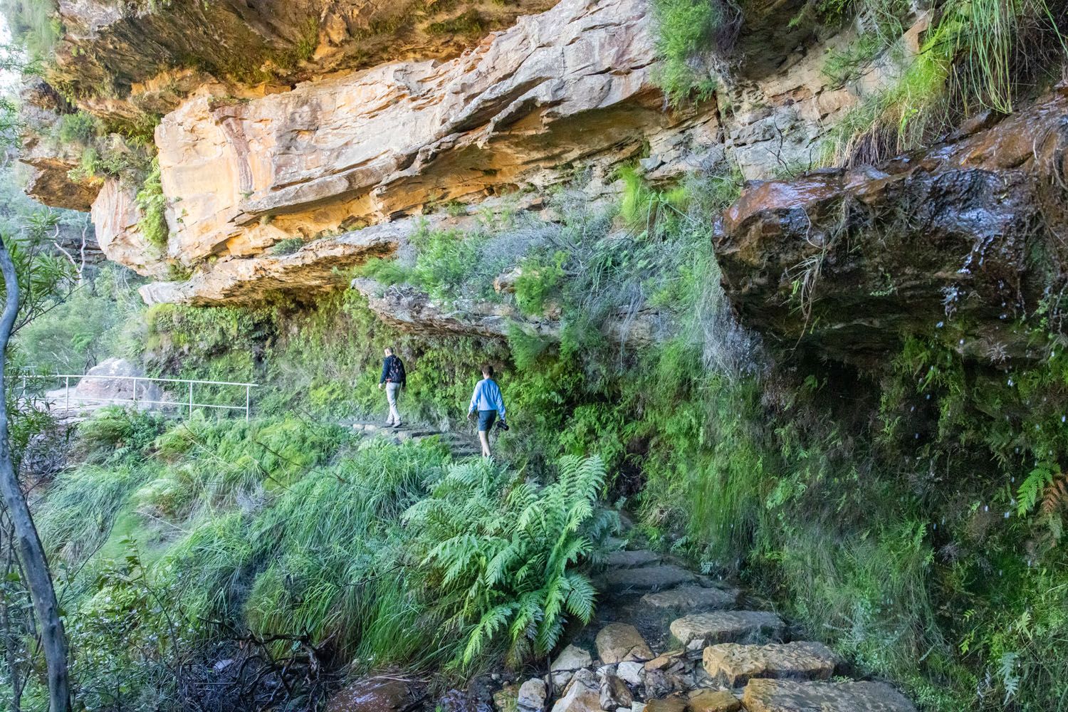 Wentworth Falls Hiking Loop