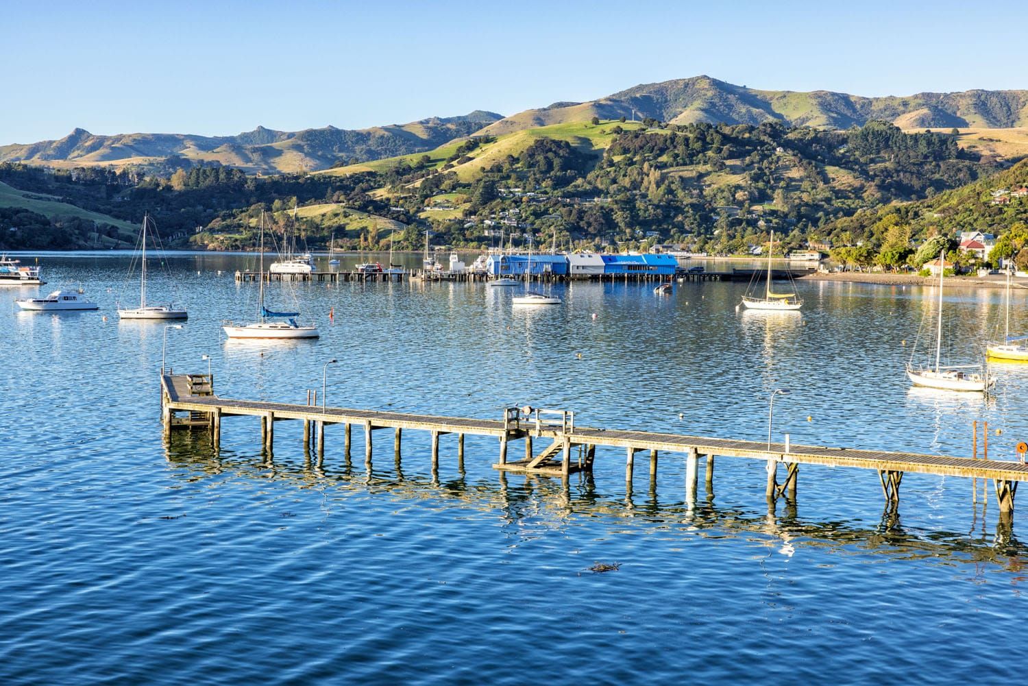 Akaroa New Zealand | One Week on the South Island