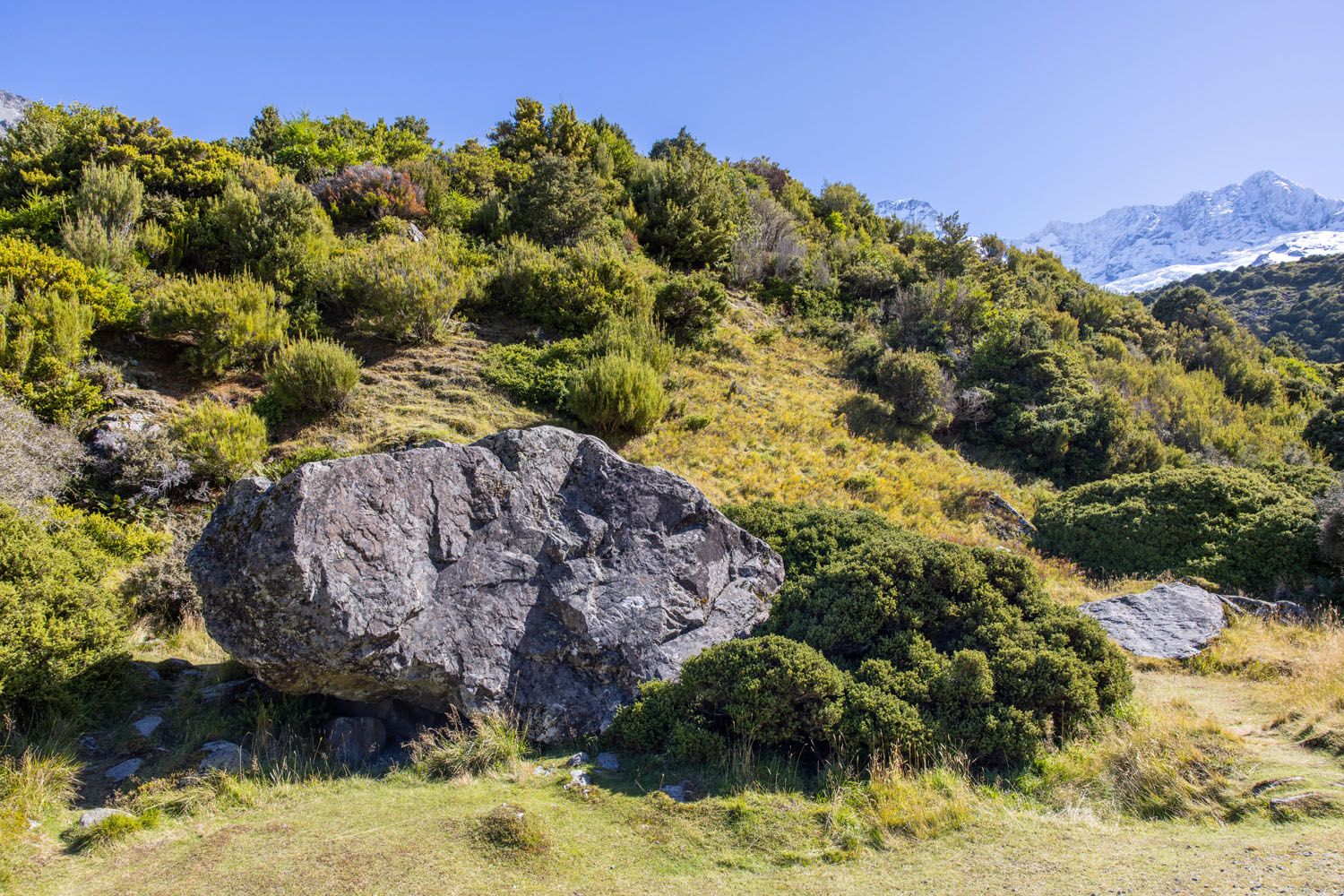 Fredas Rock New Zealand