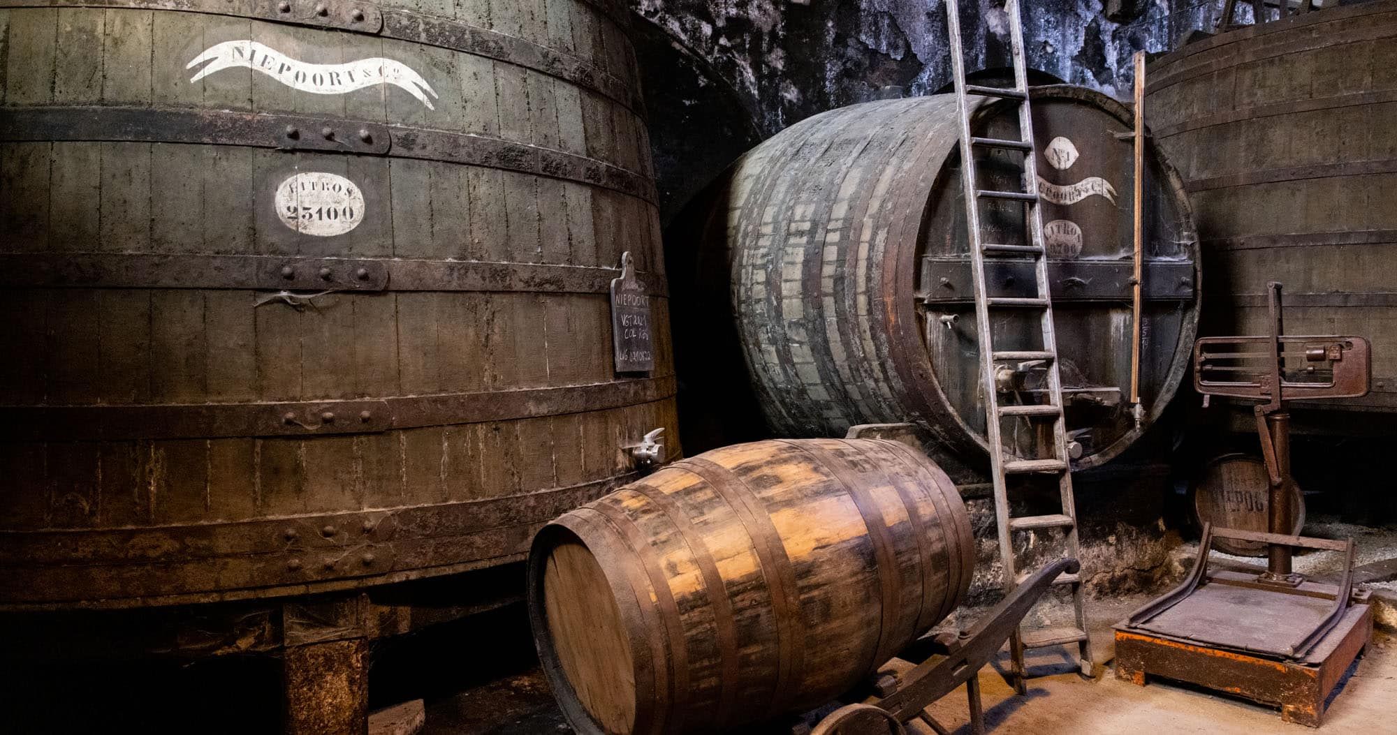 Niepoort Wine Cellar Porto