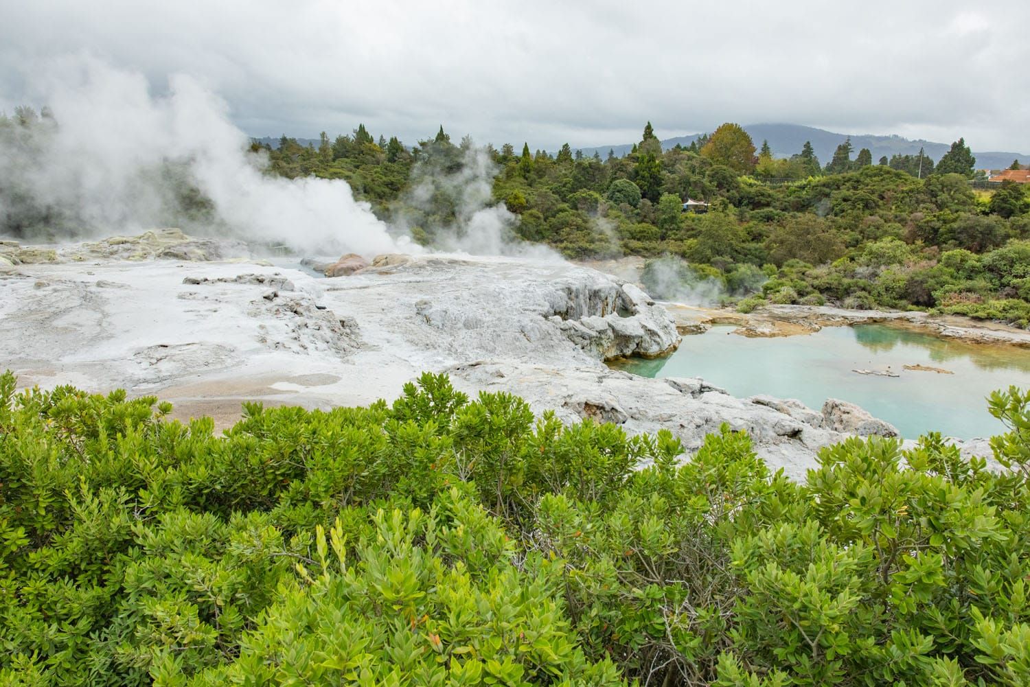 Pohutu Geyser