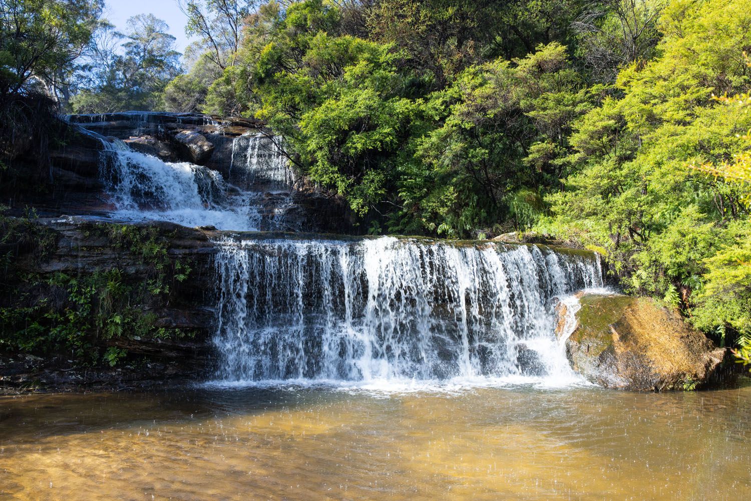 Queens Cascade Blue Mountains