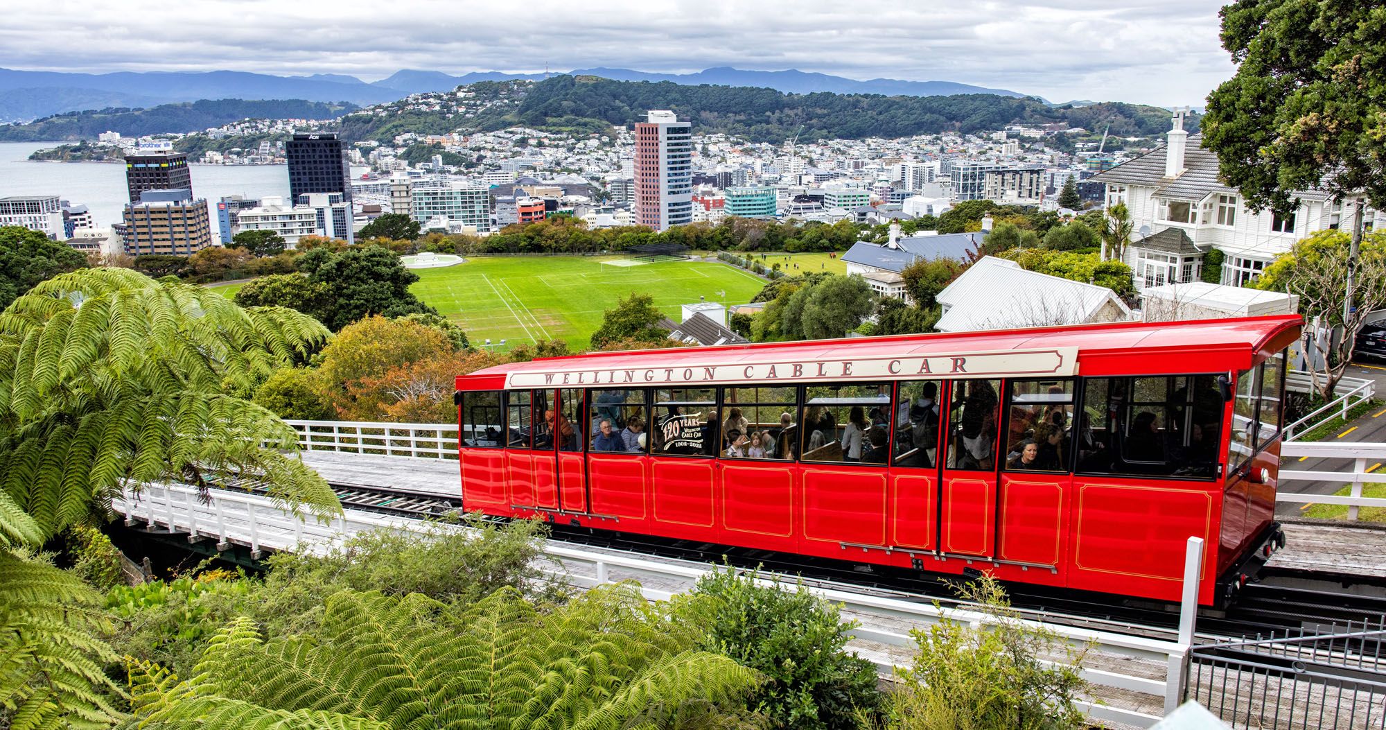 Featured image for “Top 10 Things to Do in Wellington, New Zealand”