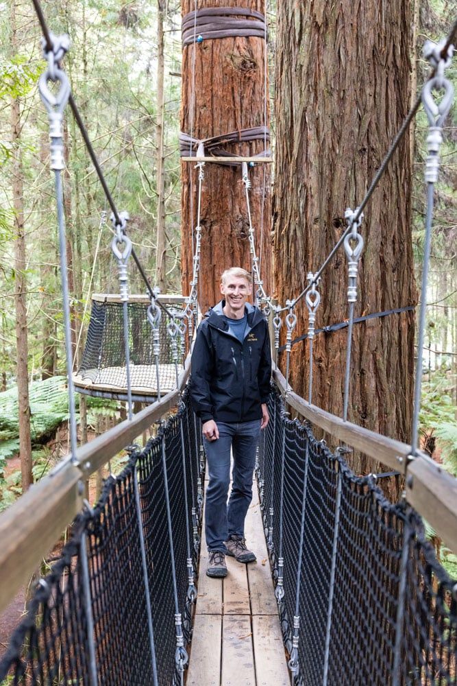 Tim at Treewalk Rotorua | Best Things to do in Rotorua