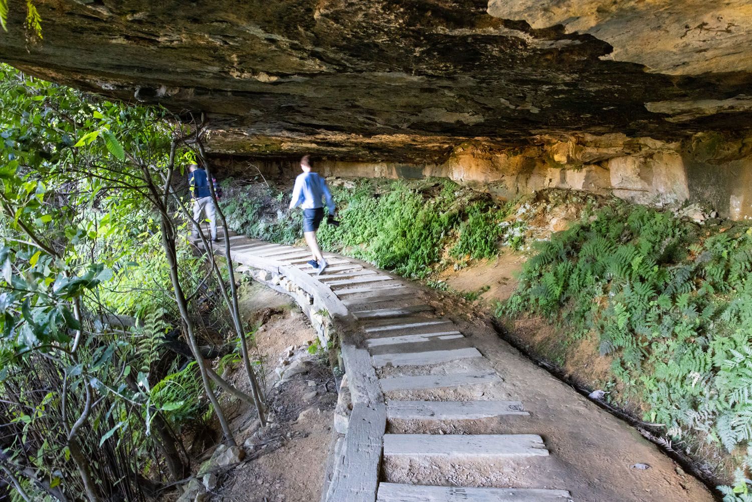 Undercliff Trail