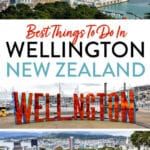 Wellington New Zealand Things to Do