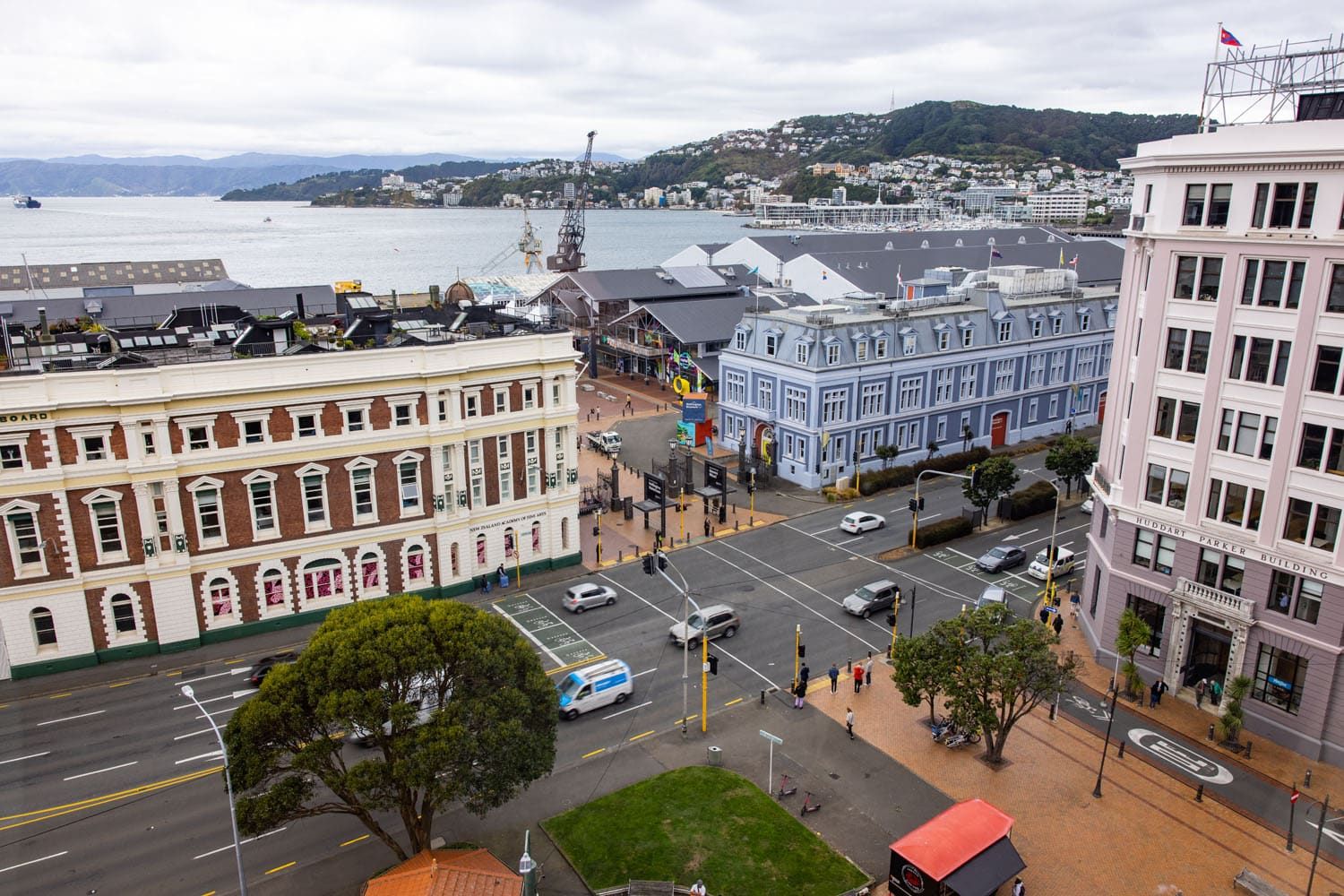 Wellington View | Best things to do in Wellington
