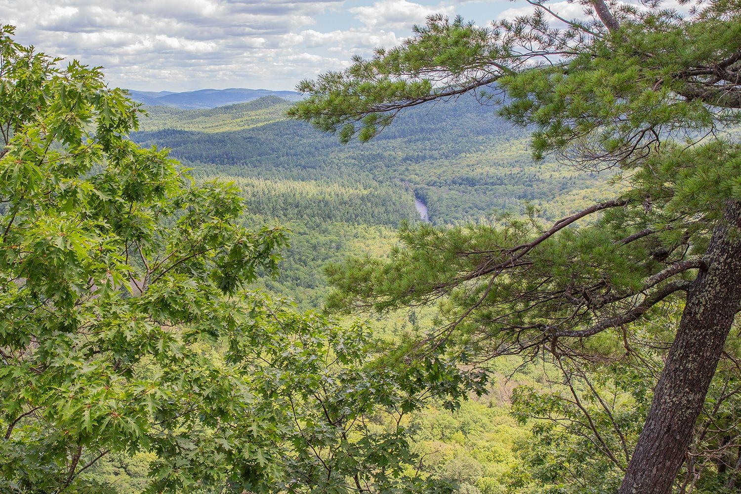 Boulder Loop Hike