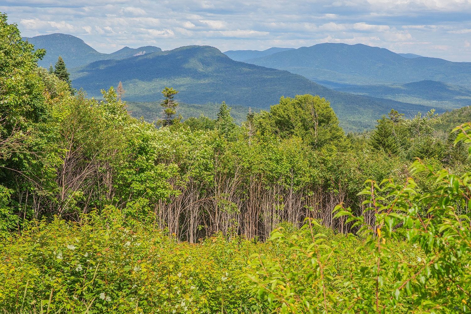 CL Graham Wangan Overlook