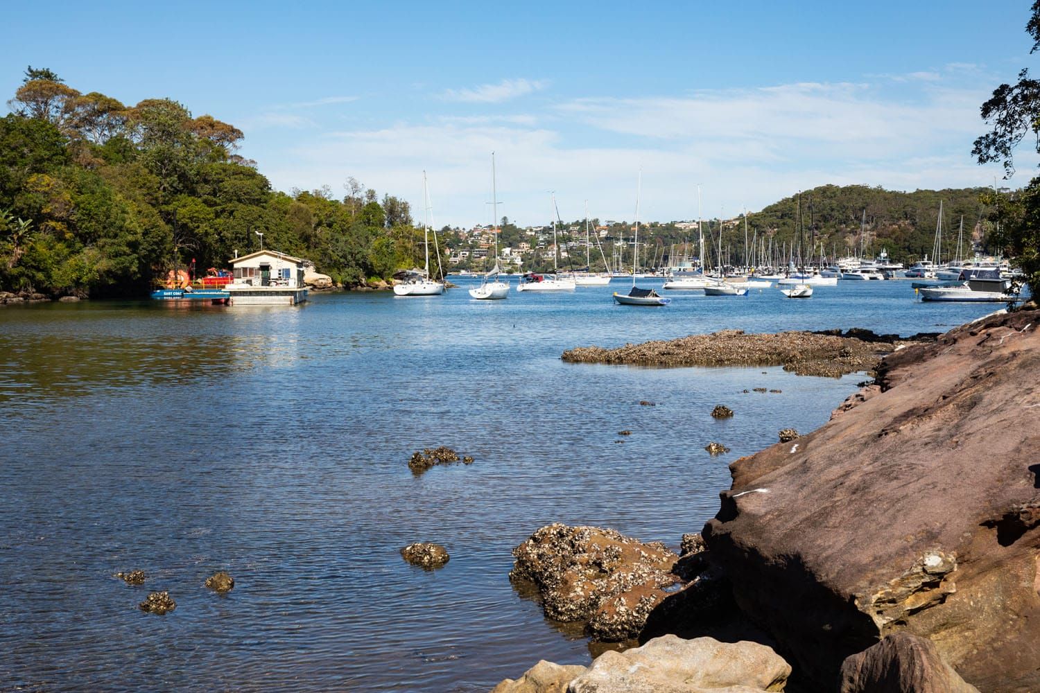 Clontarf Marina | Spit to Manly Walk