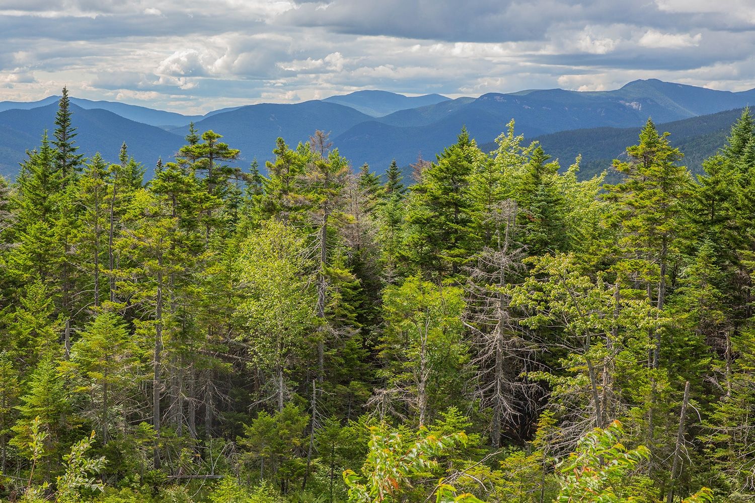 Pemigewasset Overlook