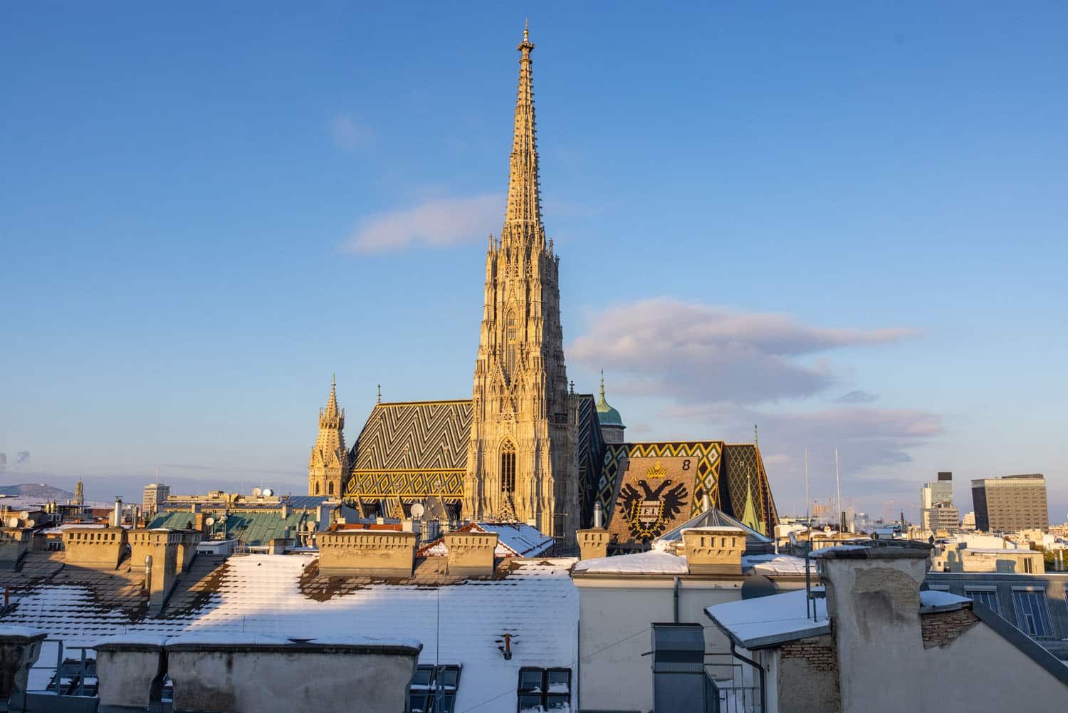 St Stephens Cathedral View