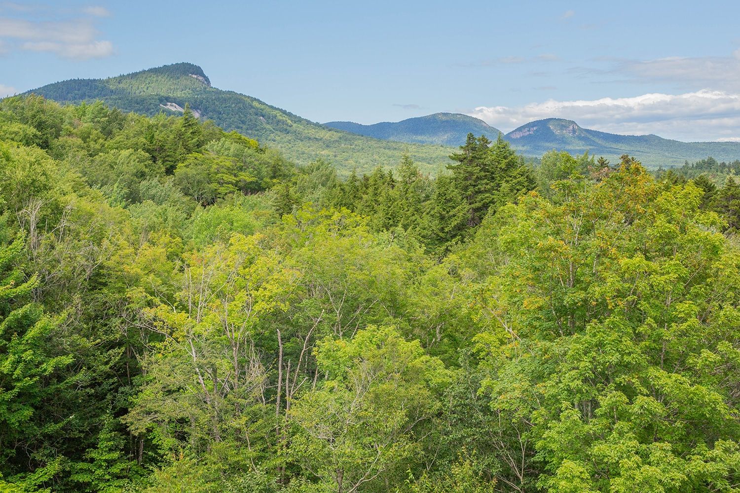 Sugar Hill Overlook