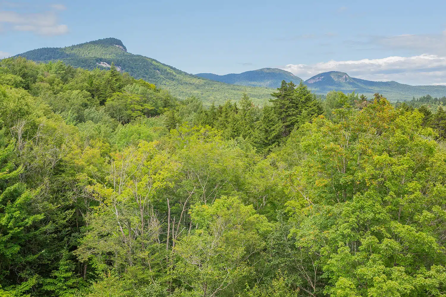 Sugar Hill Overlook