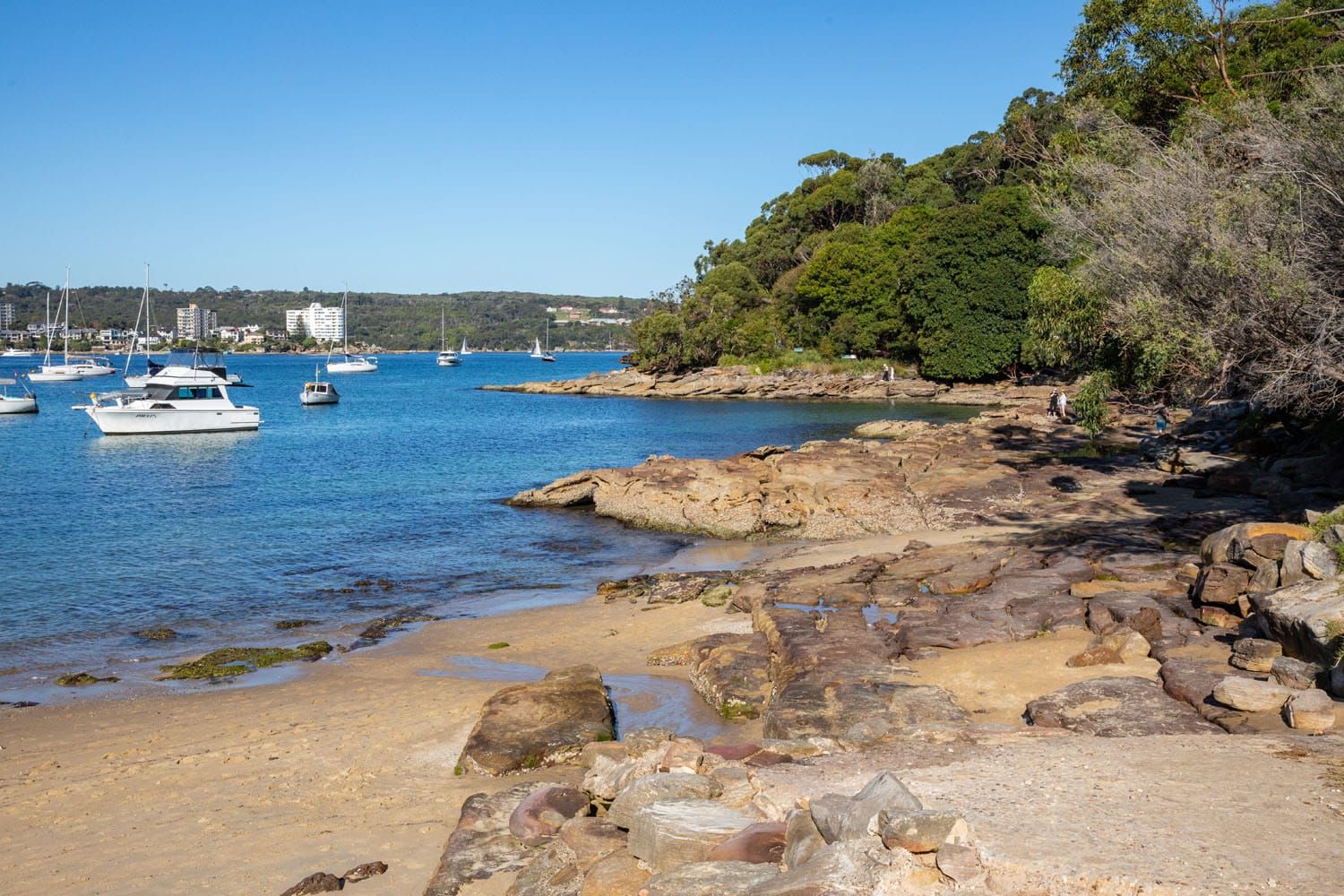 Sydney North Beaches Photo