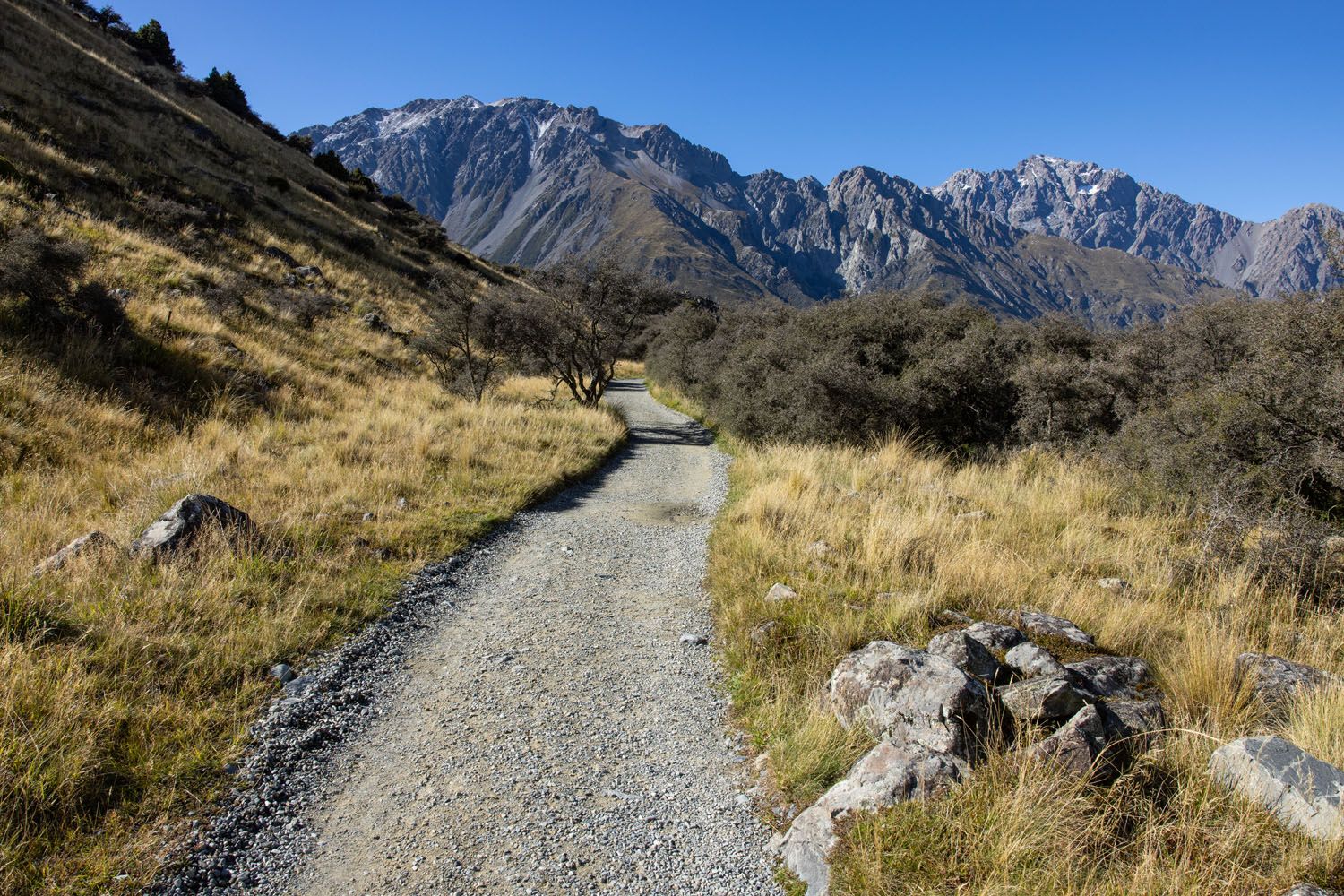 Tasman Lake Jetty Trail