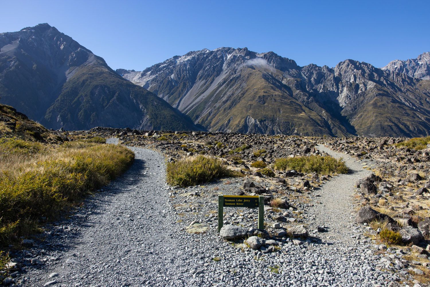 Tasman Lake Trail Junction