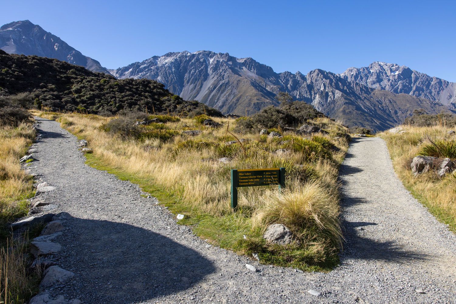 Tasman Valley Trail Junction