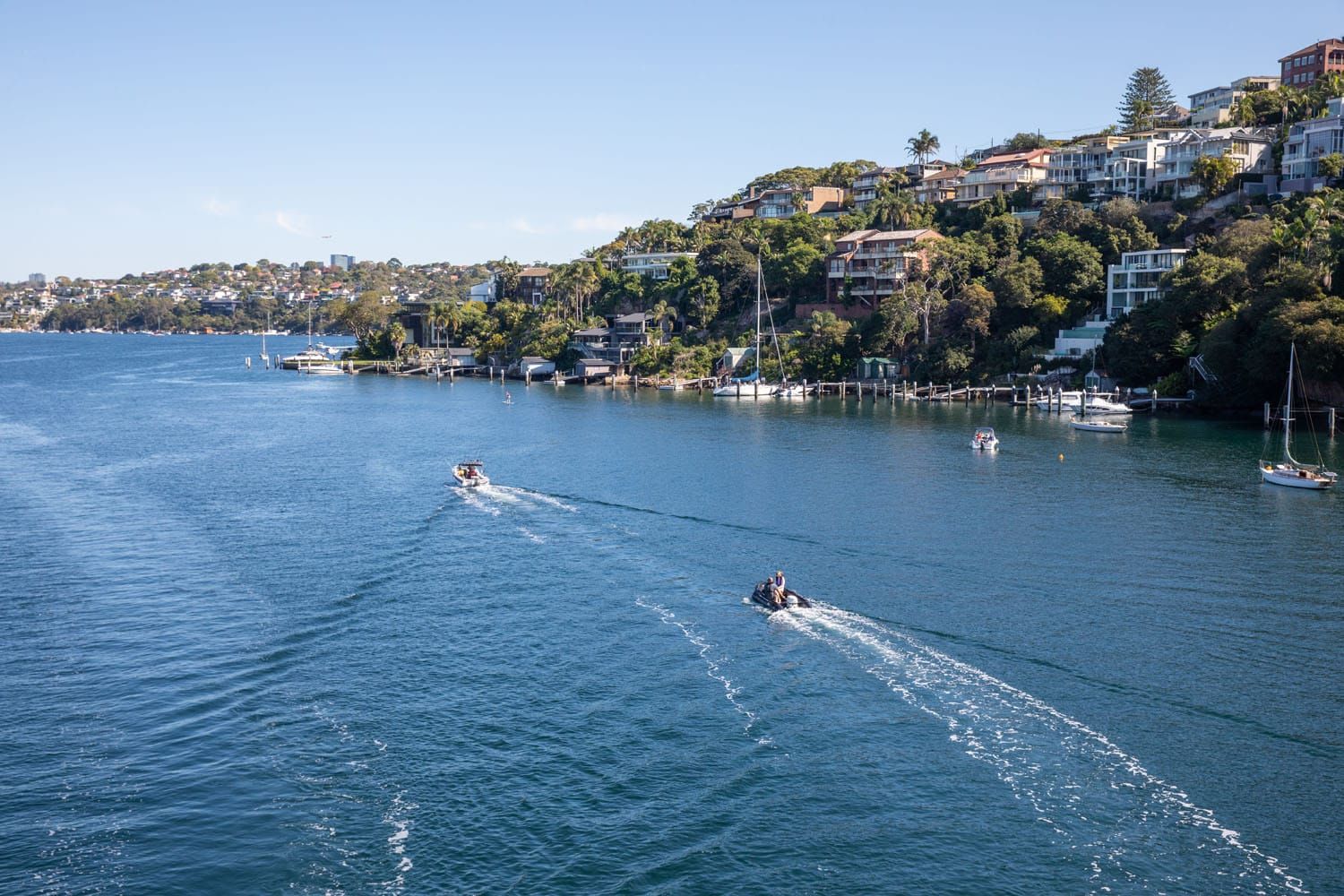 View from Spit Bridge | Spit to Manly Walk