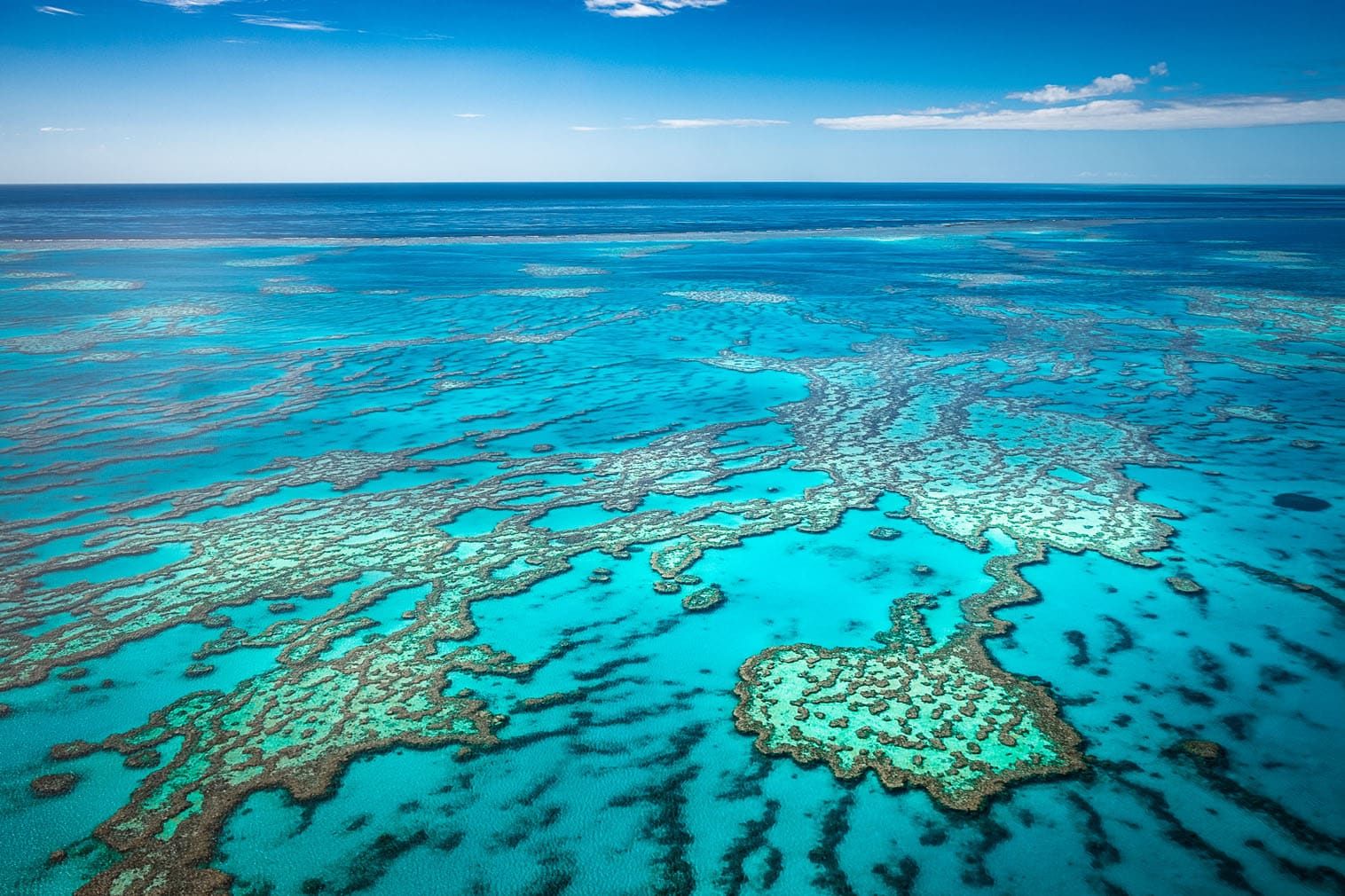 The Great Barrier Reef