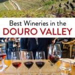 Best Douro Valley Wineries Portugal