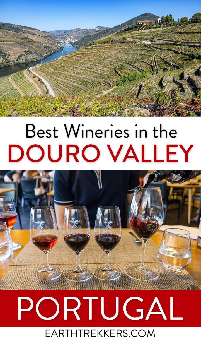 Best Douro Valley Wineries Portugal